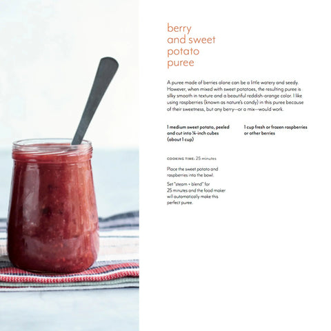 One Step™ Baby Brezza Baby Food Recipes Cookbook
